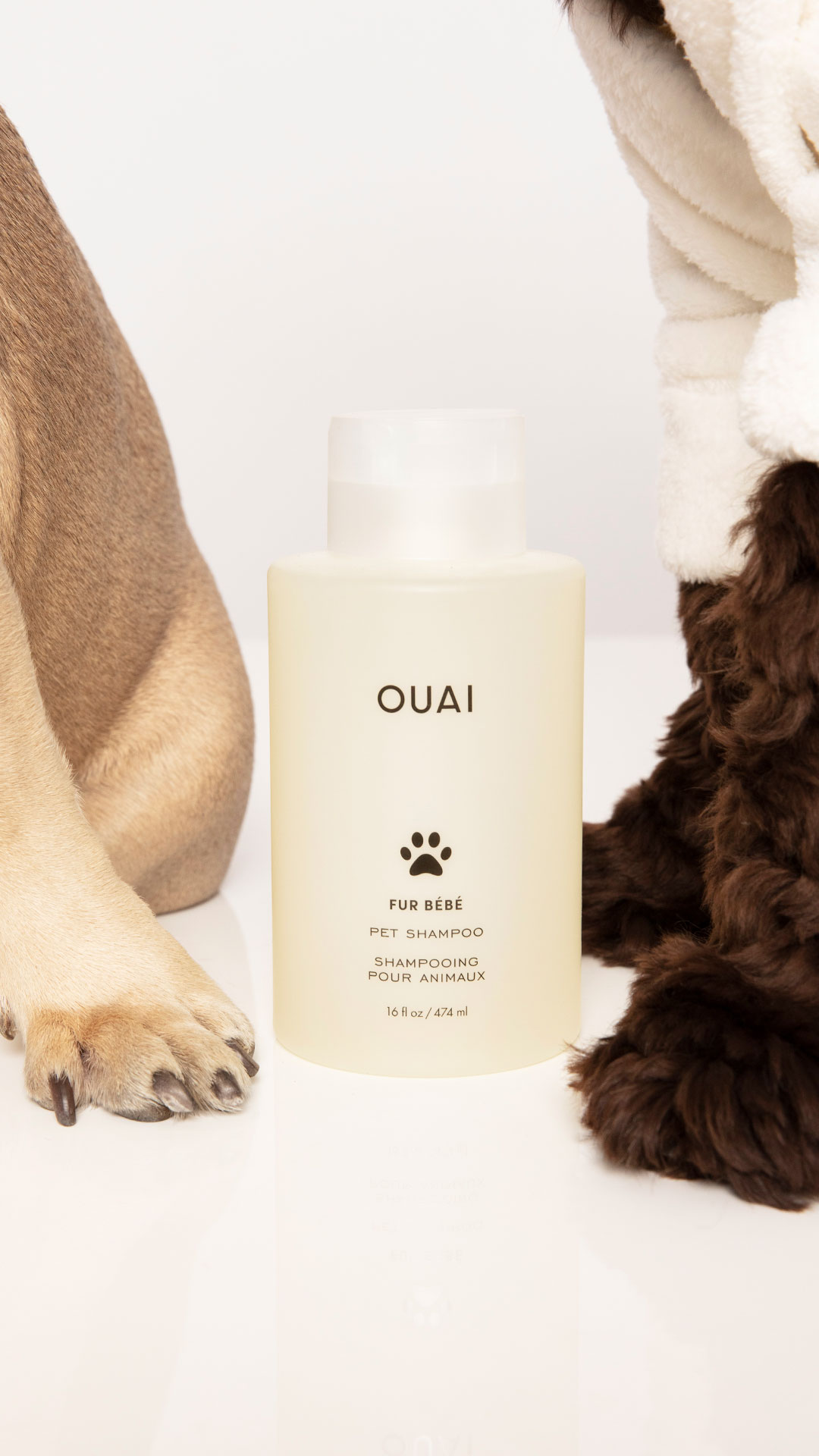 Fur Bébé